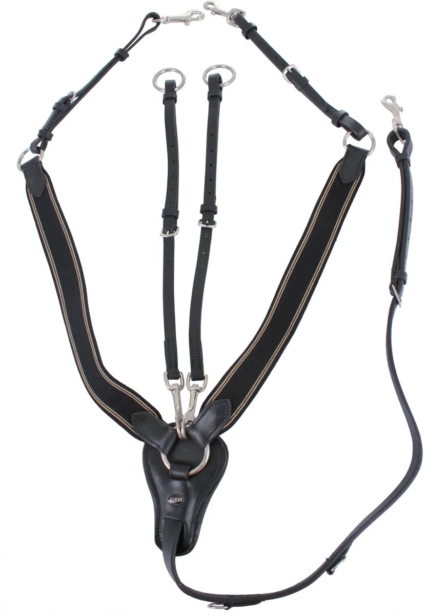 Voortuig Elastisch Maat Full de Horka en Noir – photo produit