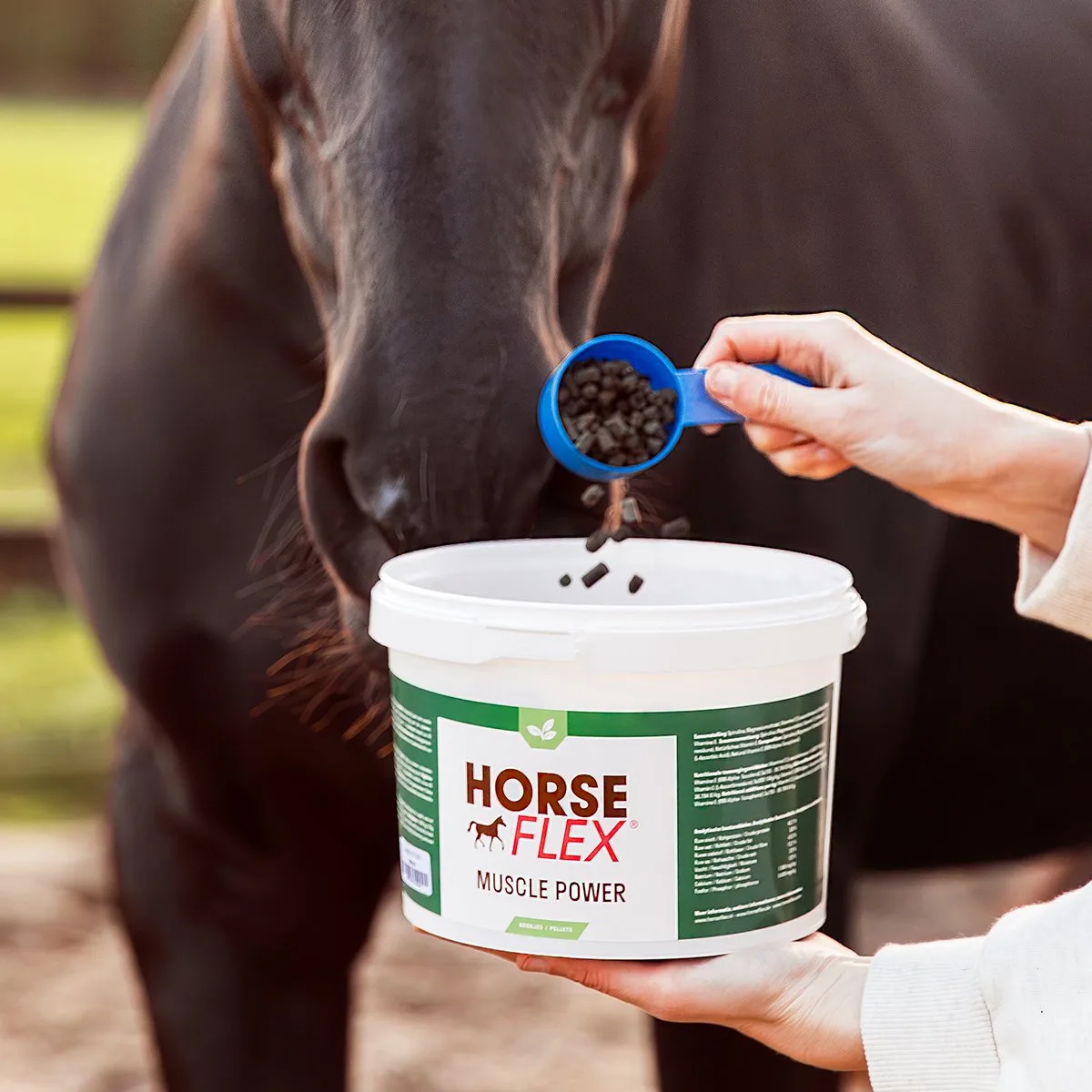 Muscle Power Complex 4200 Origineel van HorseFlex – productfoto