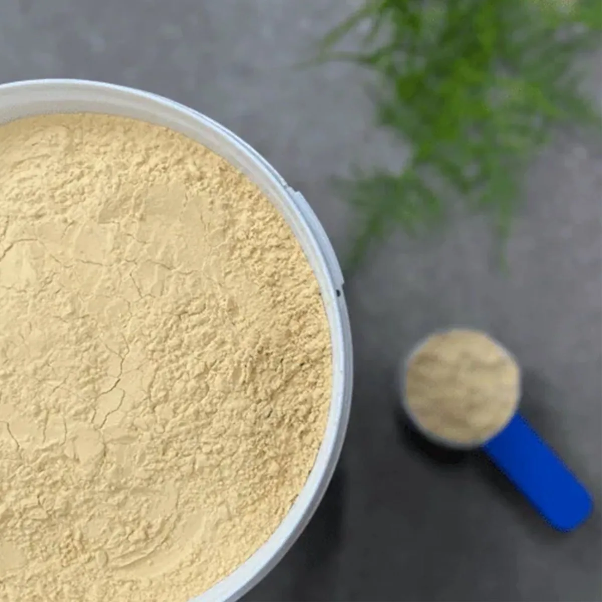 Protein Power - 2,5 kg de HorseFlex – photo produit