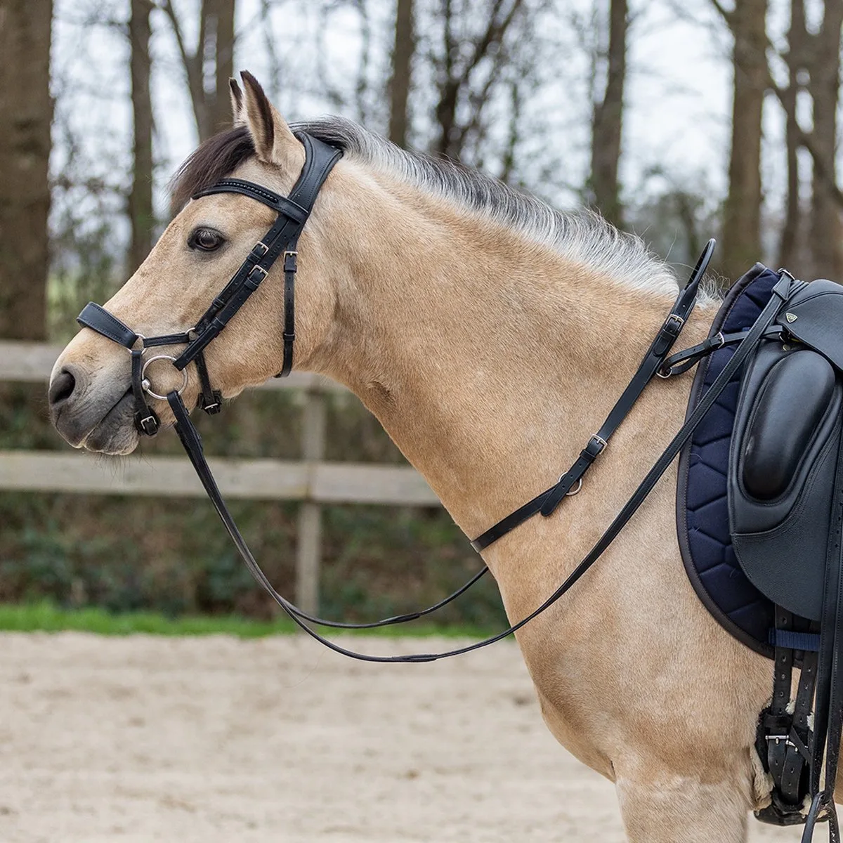 Balance Belt Horsegear de Horsegear en Noir – photo produit