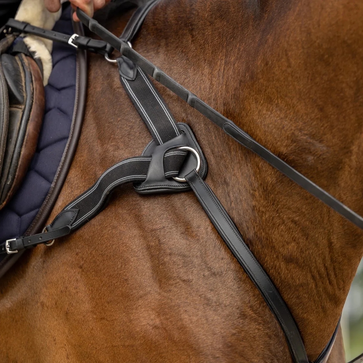 Borsttuig Horsegear Hgvertou de Horsegear en Noir – photo produit