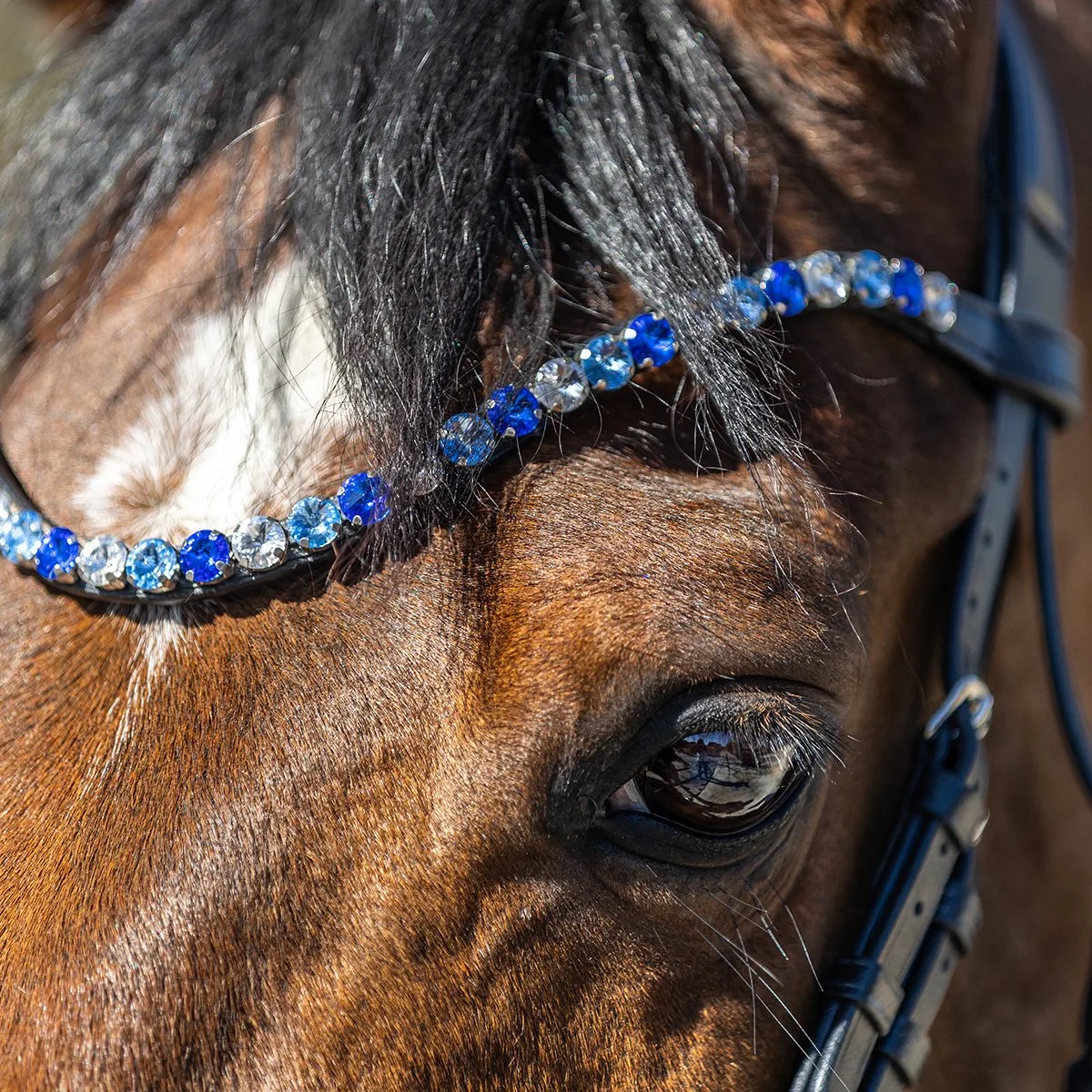 Frontriem Horsegear Hgsalerno de Horsegear en Blauw-lichtblauw – photo produit