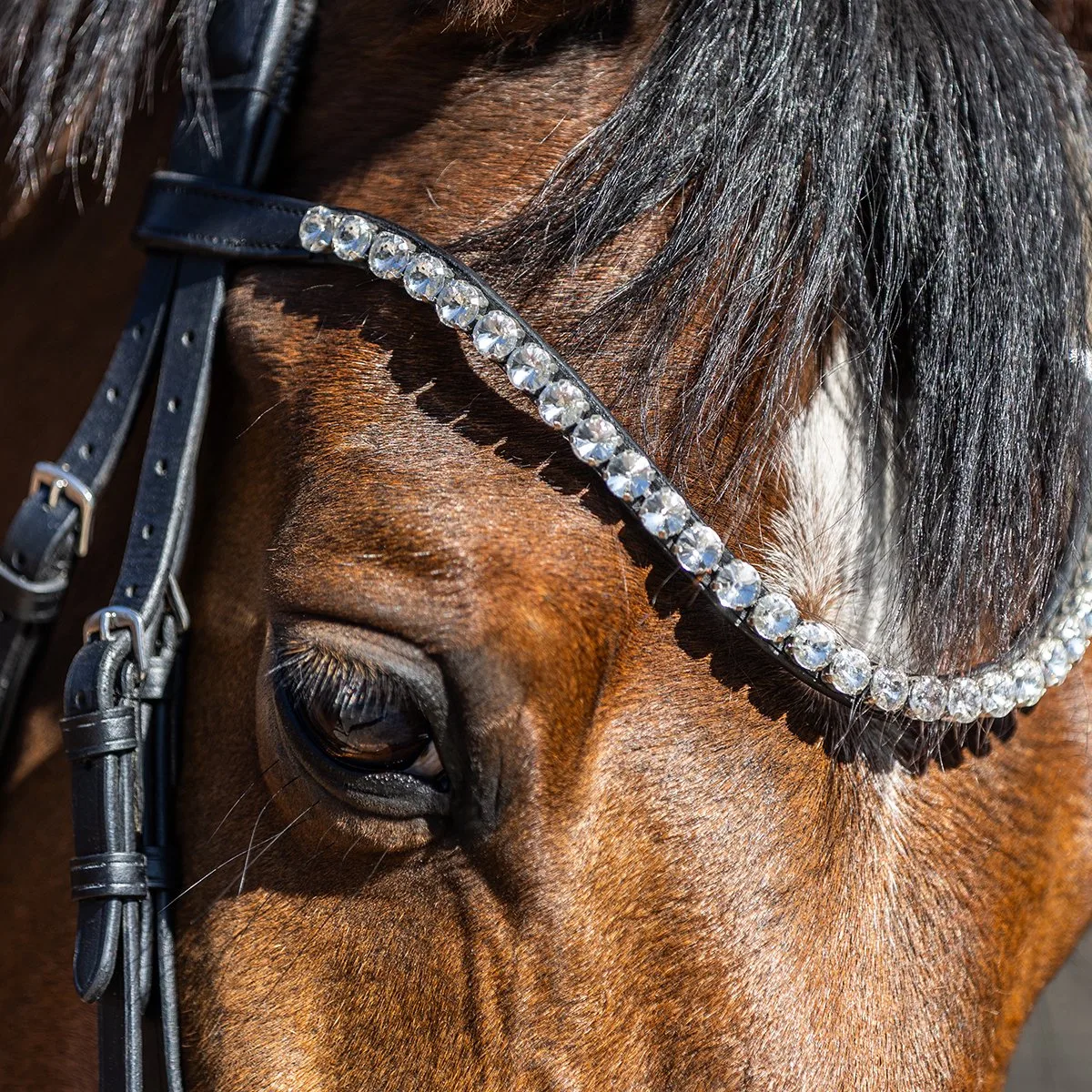 Frontriem Horsegear Hgsalerno Zilver från Horsegear i Silver – produktbild