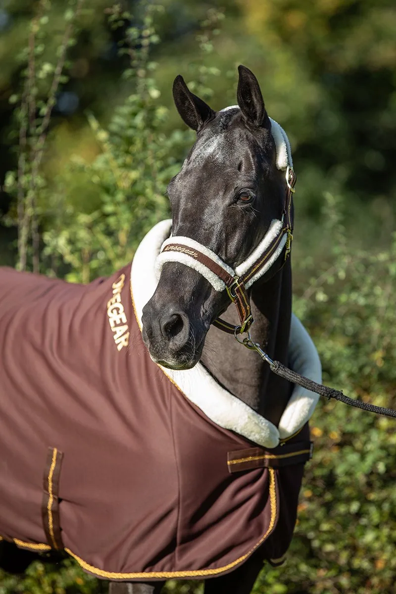 Halster Horsegear Hglyx by Horsegear in Donkerbruin – product photo