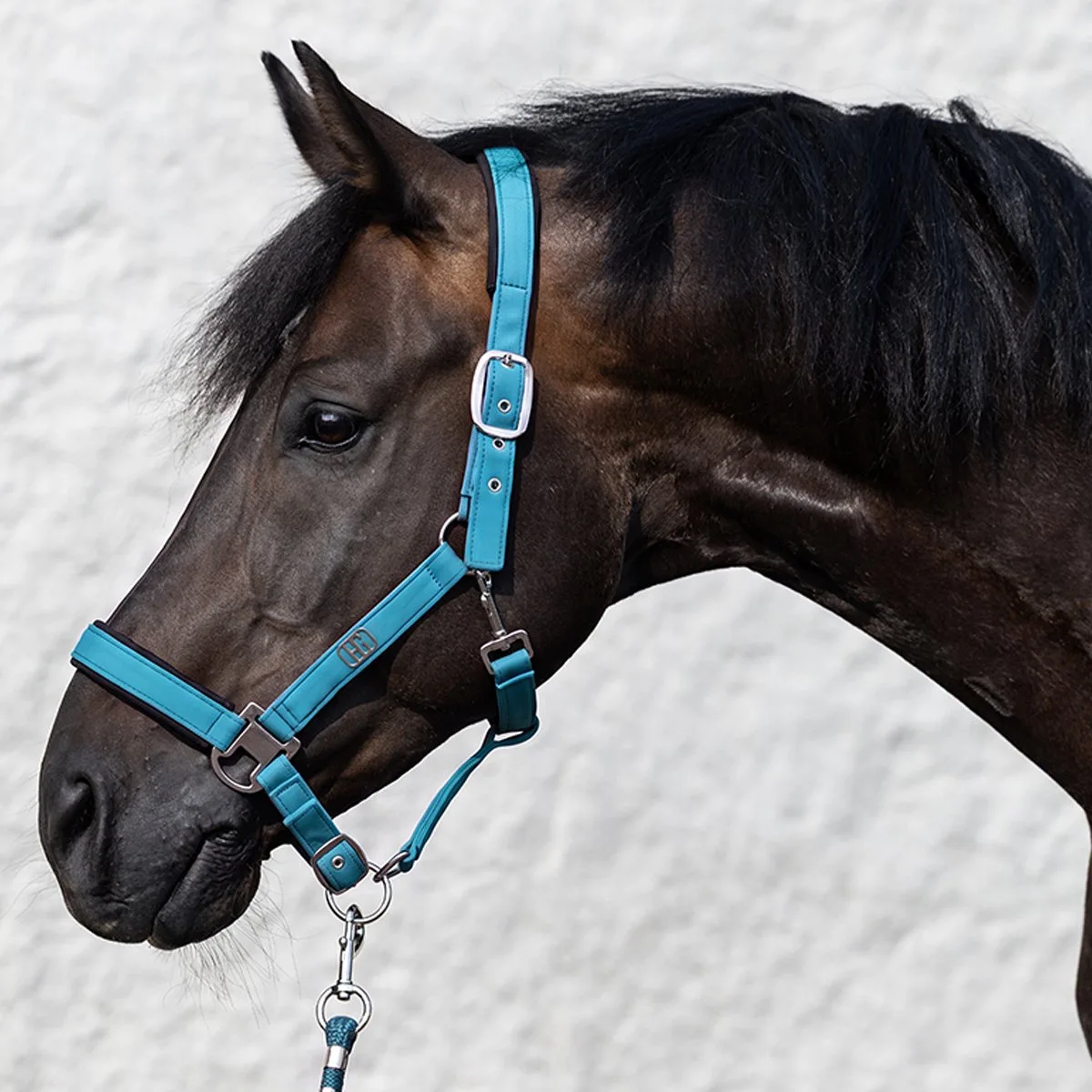 Halsterset Horsegear Hgelisa by Horsegear in Blue – product photo