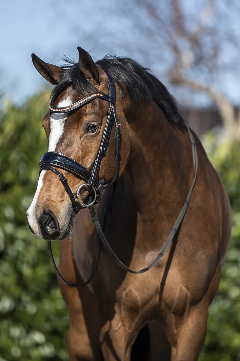 Hoofdstel Horsegear Hgblush von Horsegear in Schwarz – Produktfoto