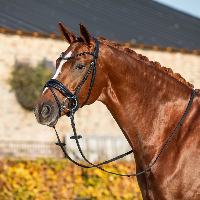 Hoofdstel Horsegear Hgle Noir by Horsegear in Black – product photo