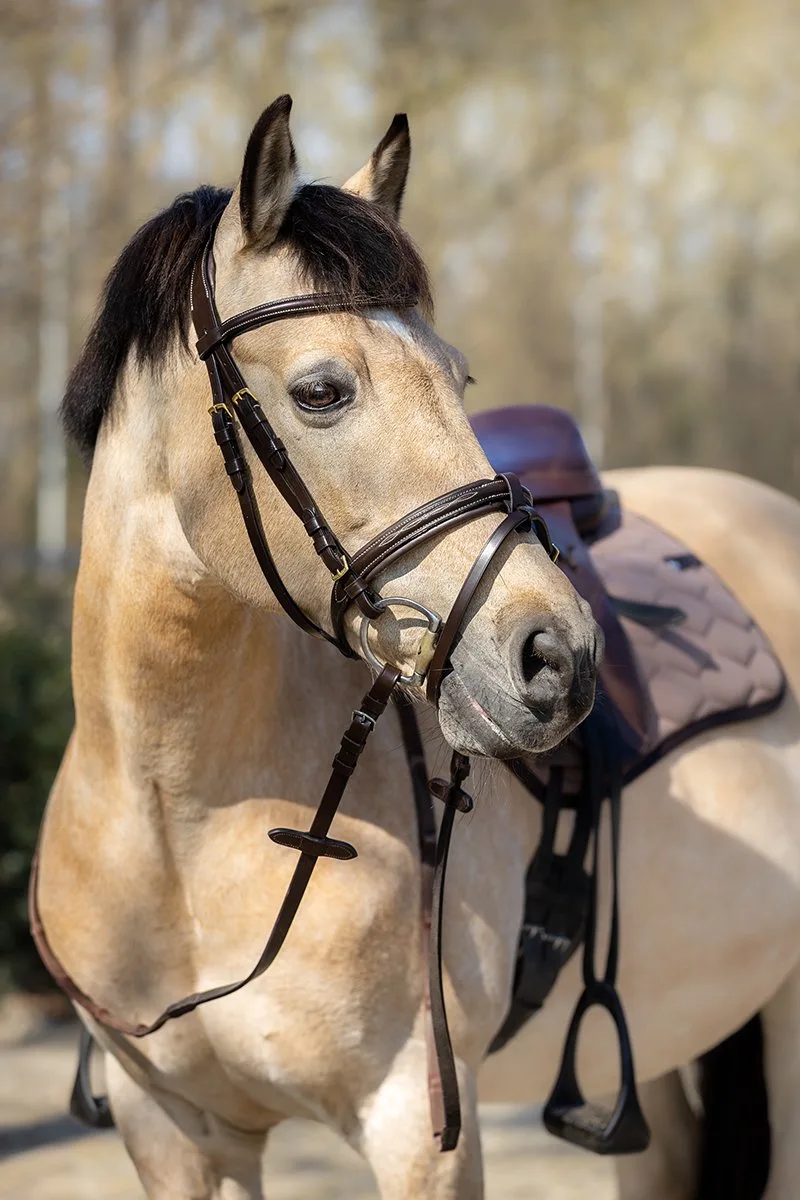 Hoofdstel Horsegear Taron by Horsegear in Brown – product photo