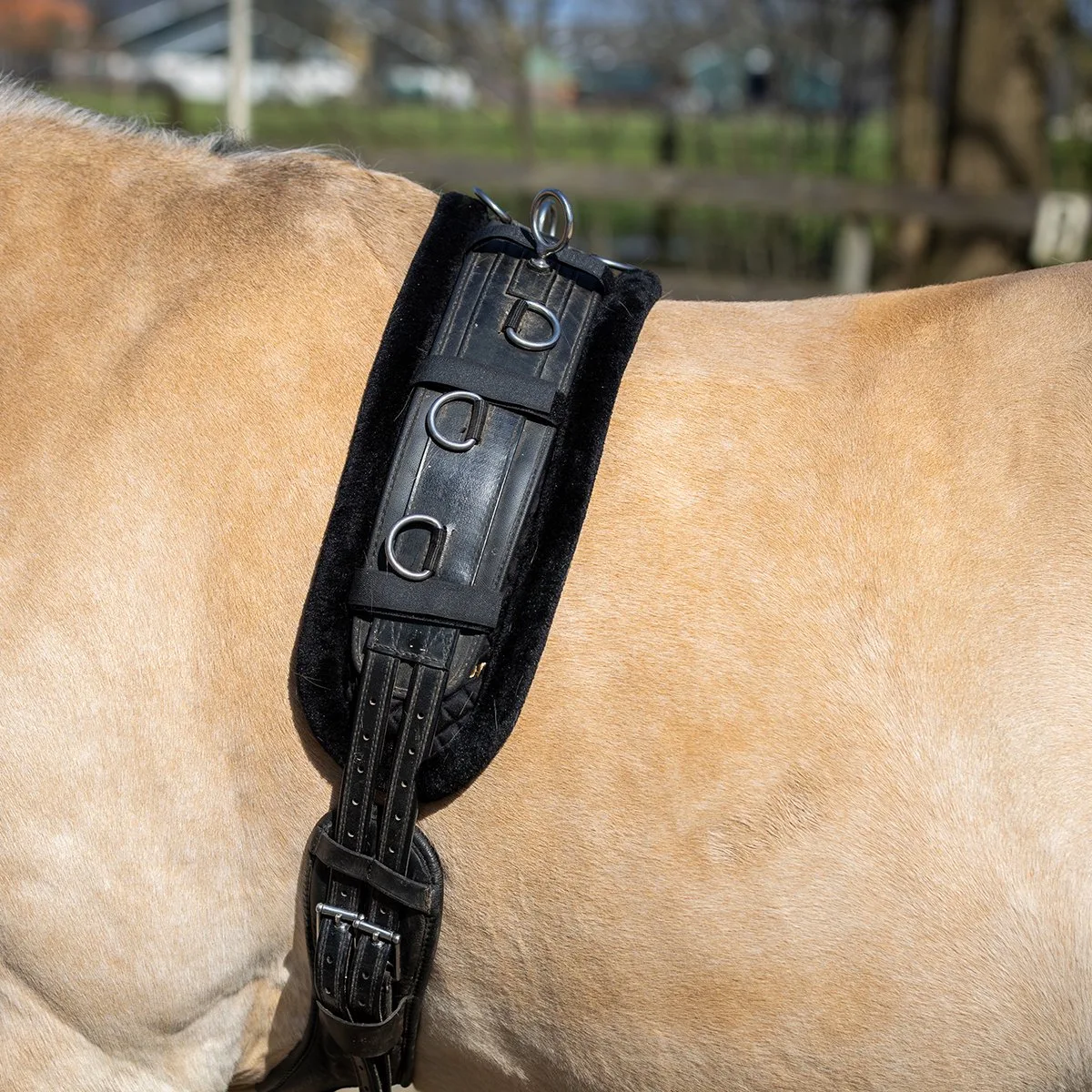 Longeerpad Horsegear Hgfur by Horsegear in Zwart-zwart – product photo