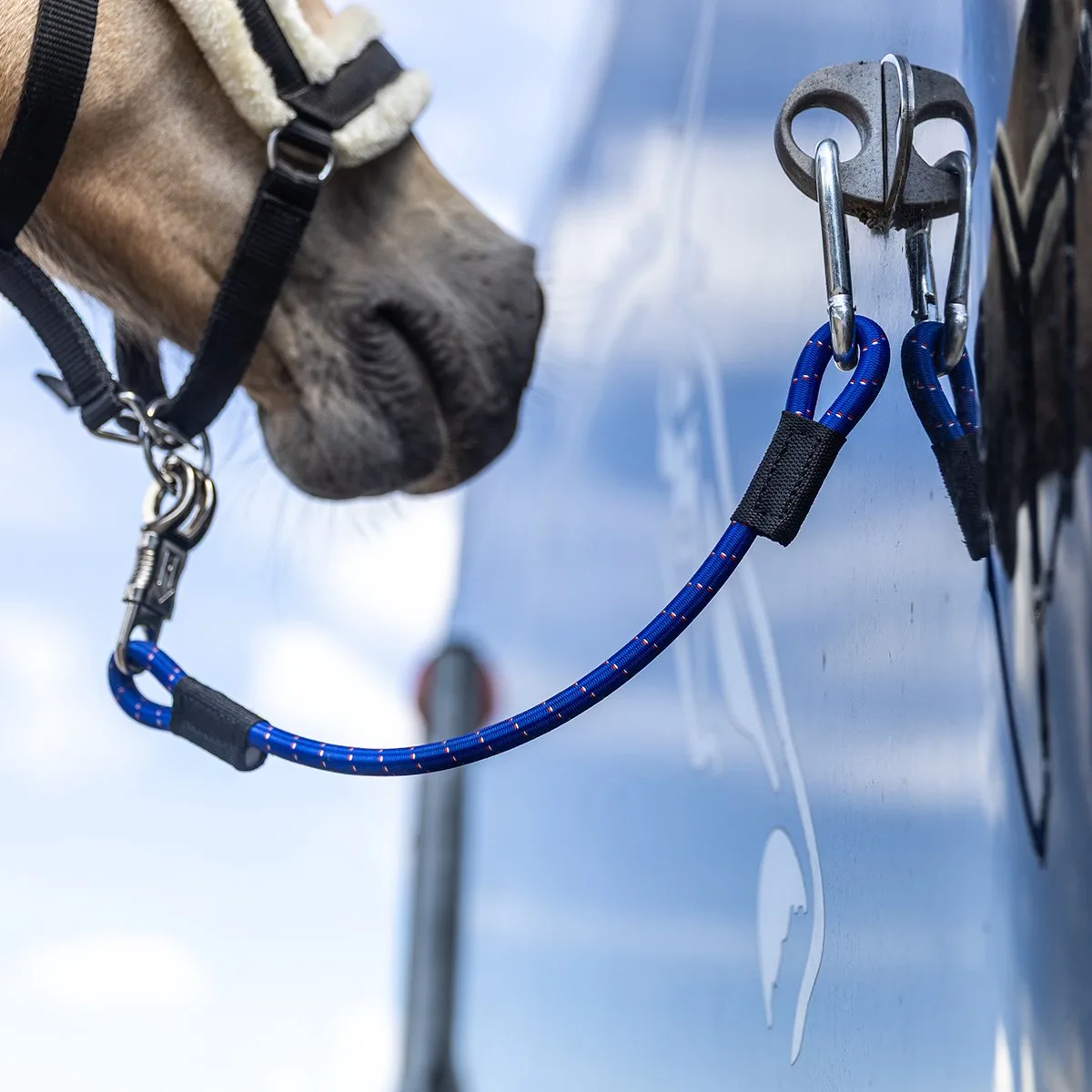 Trailerlijn Horsegear Hgelastic von Horsegear in Blau – Produktfoto