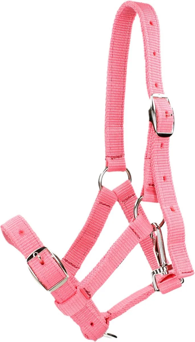 Veulenhalster Horsegear de Horsegear en Rose – photo produit