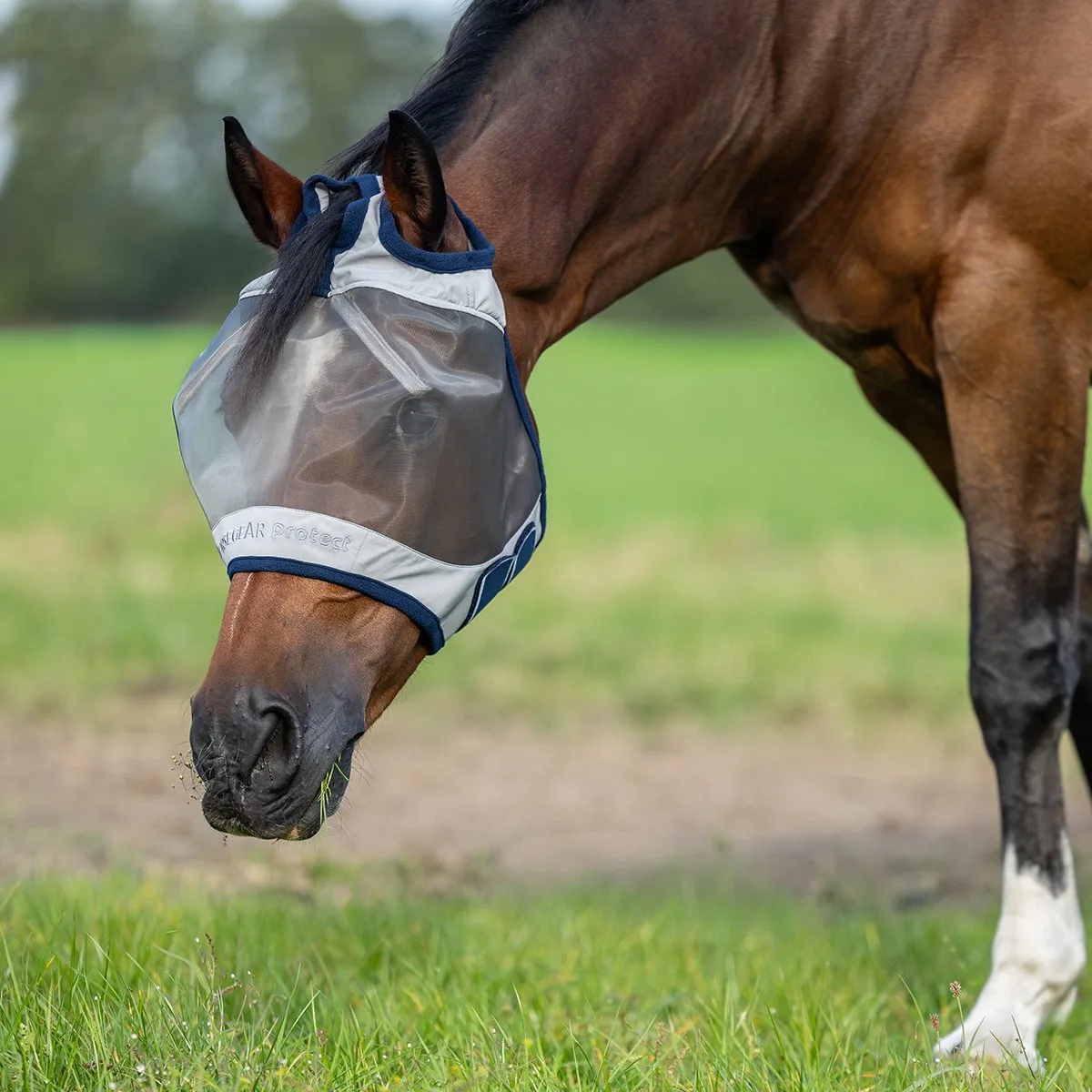 Vliegenmasker Horsegear Zonder Oren En Neusflap Grijs - FULL van Horsegear – productfoto