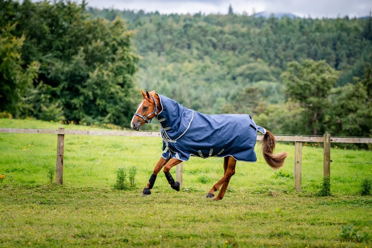 Amigo 1200D Plus Turnout Bundel fra Horseware i Mørkeblå, Titanium – produktbillede