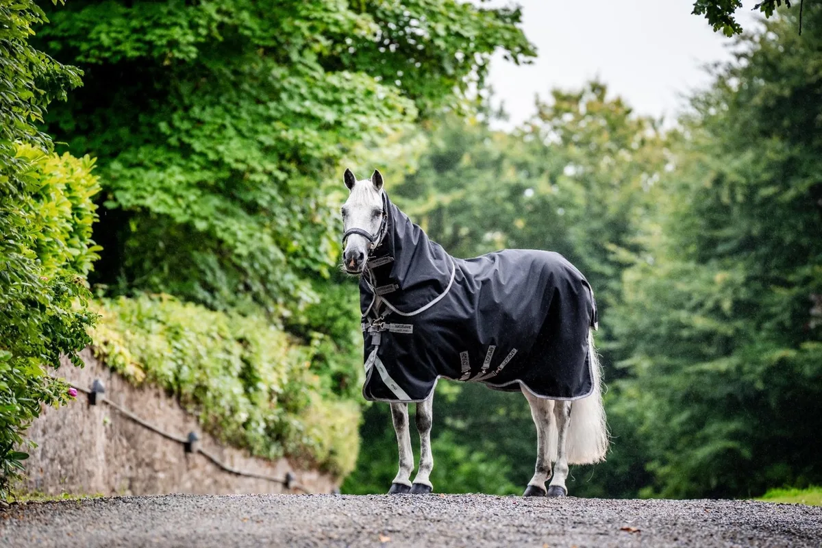 Amigo 1200D Plus Turnout Bundel från Horseware i Svart, Titanium – produktbild