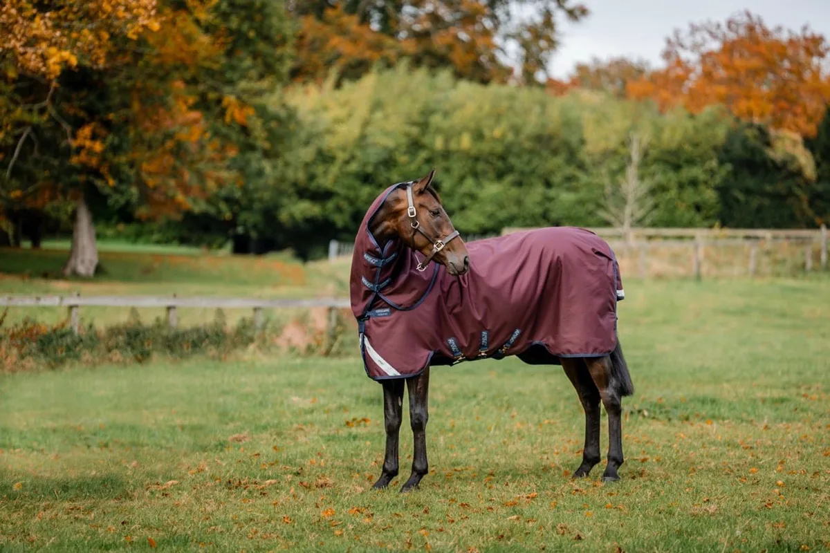 Amigo 1200D Plus Turnout Deken by Horseware in Burgundy – product photo