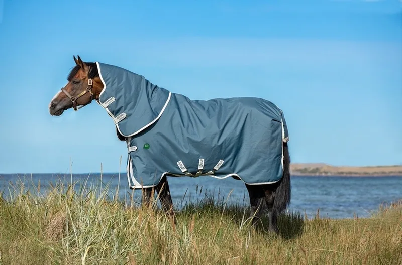 Amigo AmECO Bravo 12 Plus Turnout 100grs Outdoordeken - maat 145/198 by Horseware in Teal, Grey – product photo