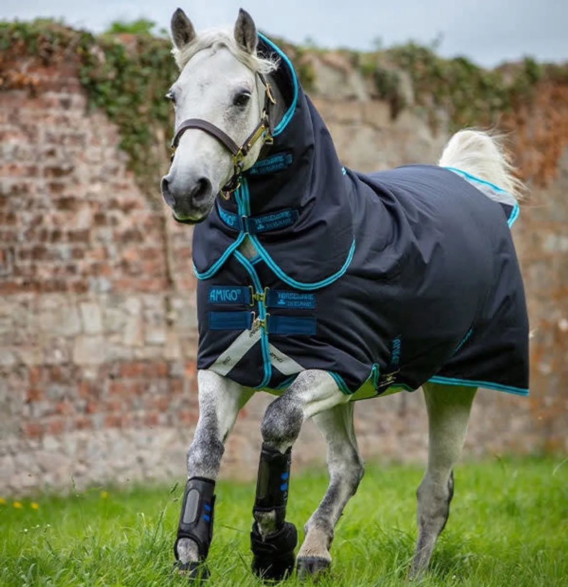 Amigo Bravo 12 Plus Pony Deken 160 från Horseware i Excalibur, Aqua – produktbild