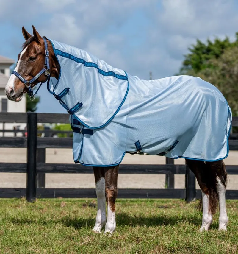 Amigo Bug Rug Plus Vliegendeken 205 von Horseware in Heather Blue – Produktfoto