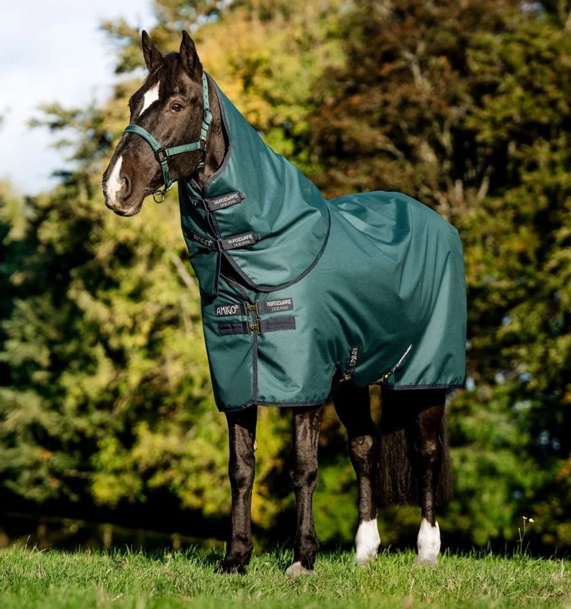 Amigo Ripstop 900D Plus Pony Turnout Deken från Horseware i Dynasty Green – produktbild