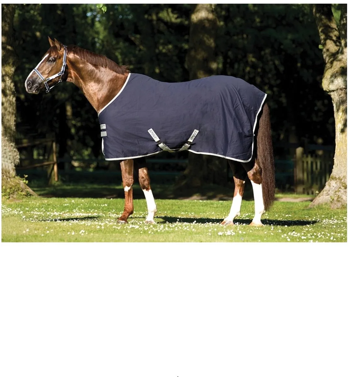 AMIGO STABLE SHEET 0GRS ZOMERDEKEN van Horseware in Blauw – productfoto