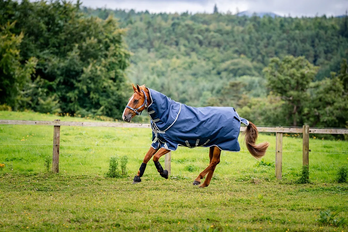 Deken Horseware Amigo Plus Met Hals 400gr - 130/183 fra Horseware i Donkerblauw-grijs – produktbillede