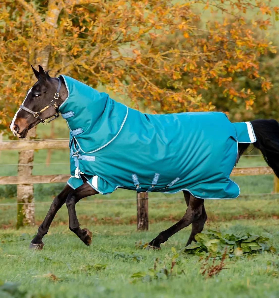 Deken Horseware Amigo Plus Met Hals 400gr - 145/198 van Horseware in Donkerblauw-grijs – productfoto