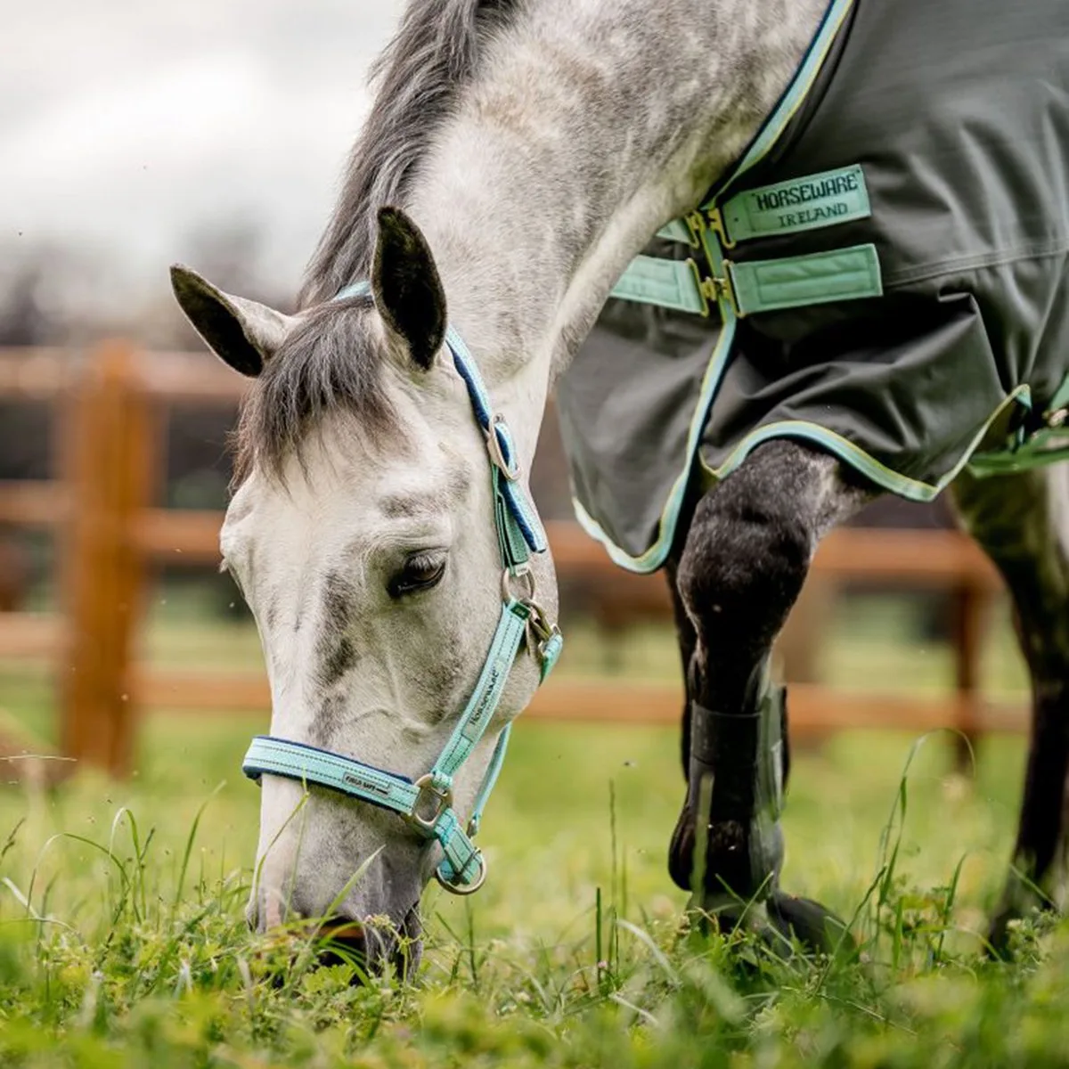 FIELD SAFE VEILIGHEIDSHALSTER van Horseware in Blauw – productfoto