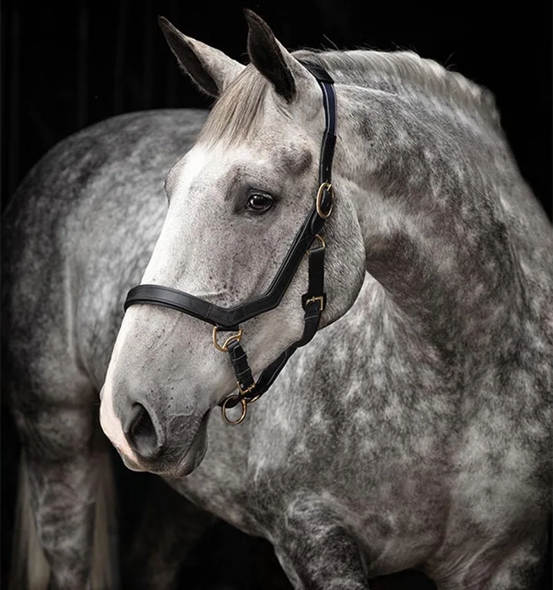 Halster Rambo Micklem - pony by Horseware in Black – product photo