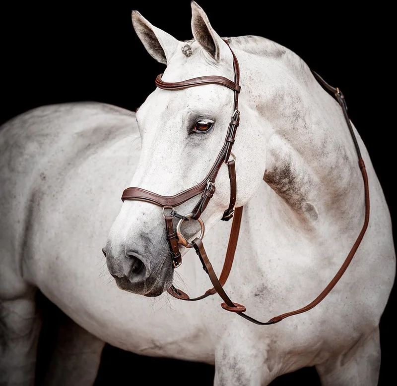 Hoofdstel Horseware Micklem Competition 2.0 by Horseware in Brown – product photo