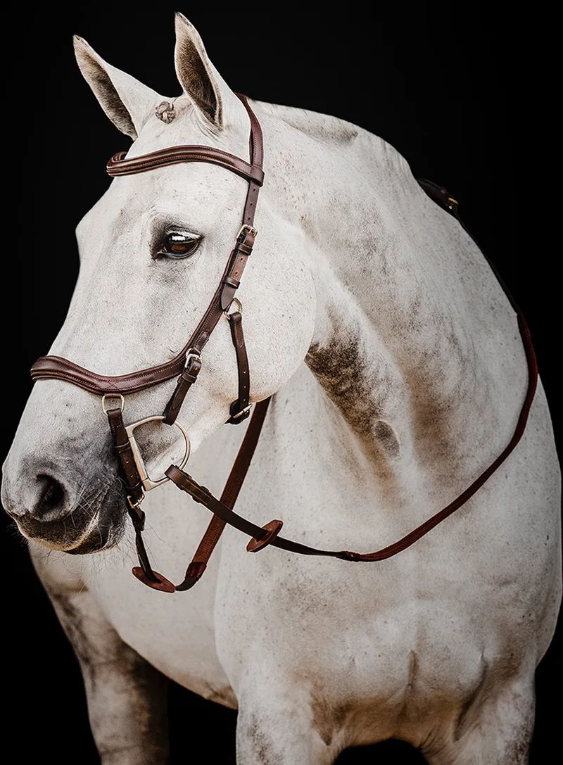 Hoofdstel Horseware Micklem Deluxe Competition 2.0 by Horseware in Brown – product photo