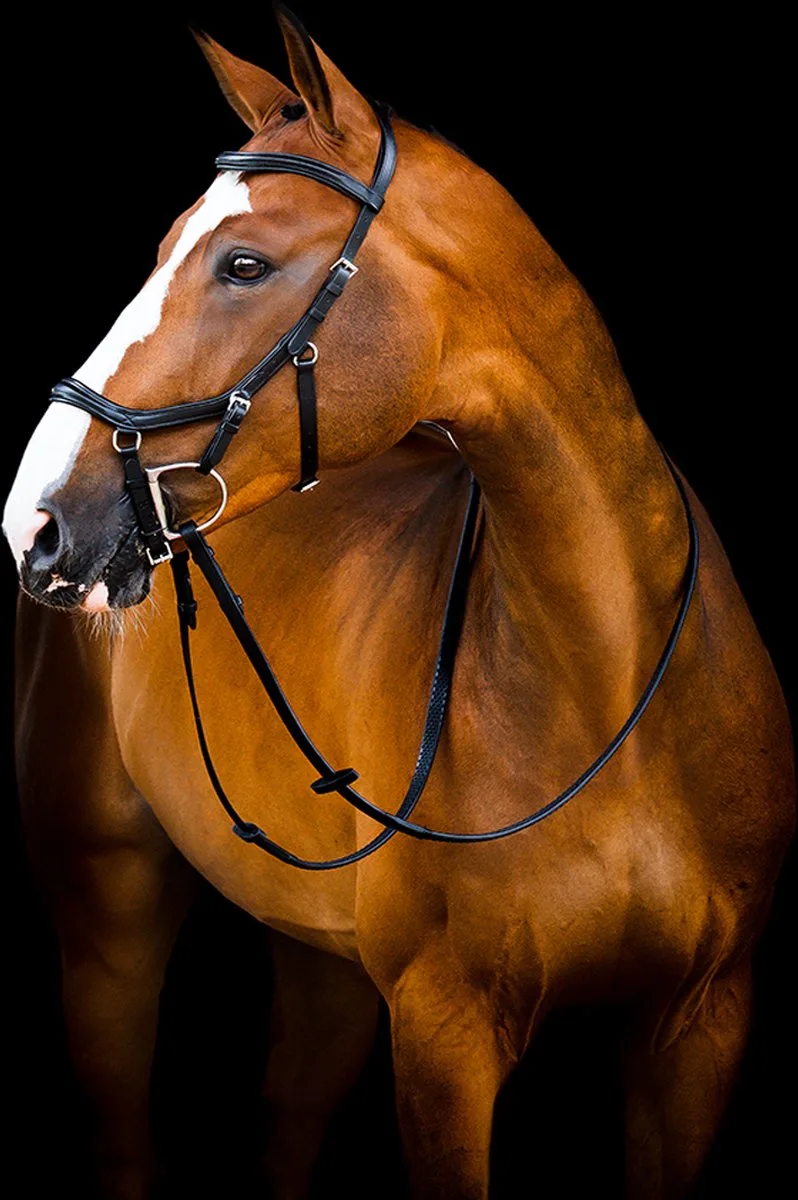 Hoofdstel Horseware Micklem Deluxe Competition 2.0 by Horseware in Black – product photo