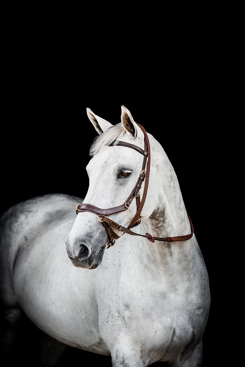 Hoofdstel Horseware Micklem Multi Bridle 2.0 de Horseware en Marron – photo produit
