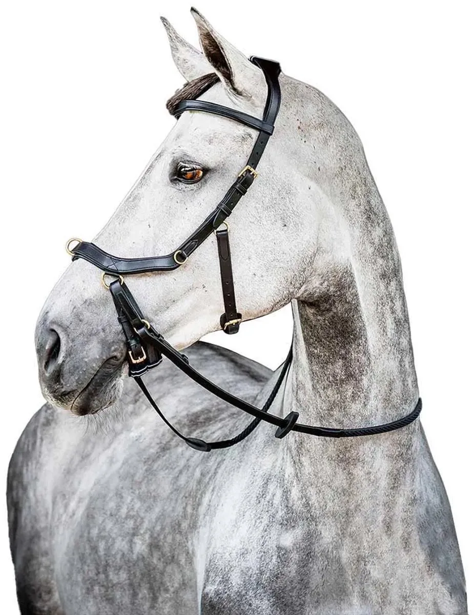 Inglesa Micklem 2 Multi Hoofdstellen Zwart Cob från Horseware i Svart – produktbild
