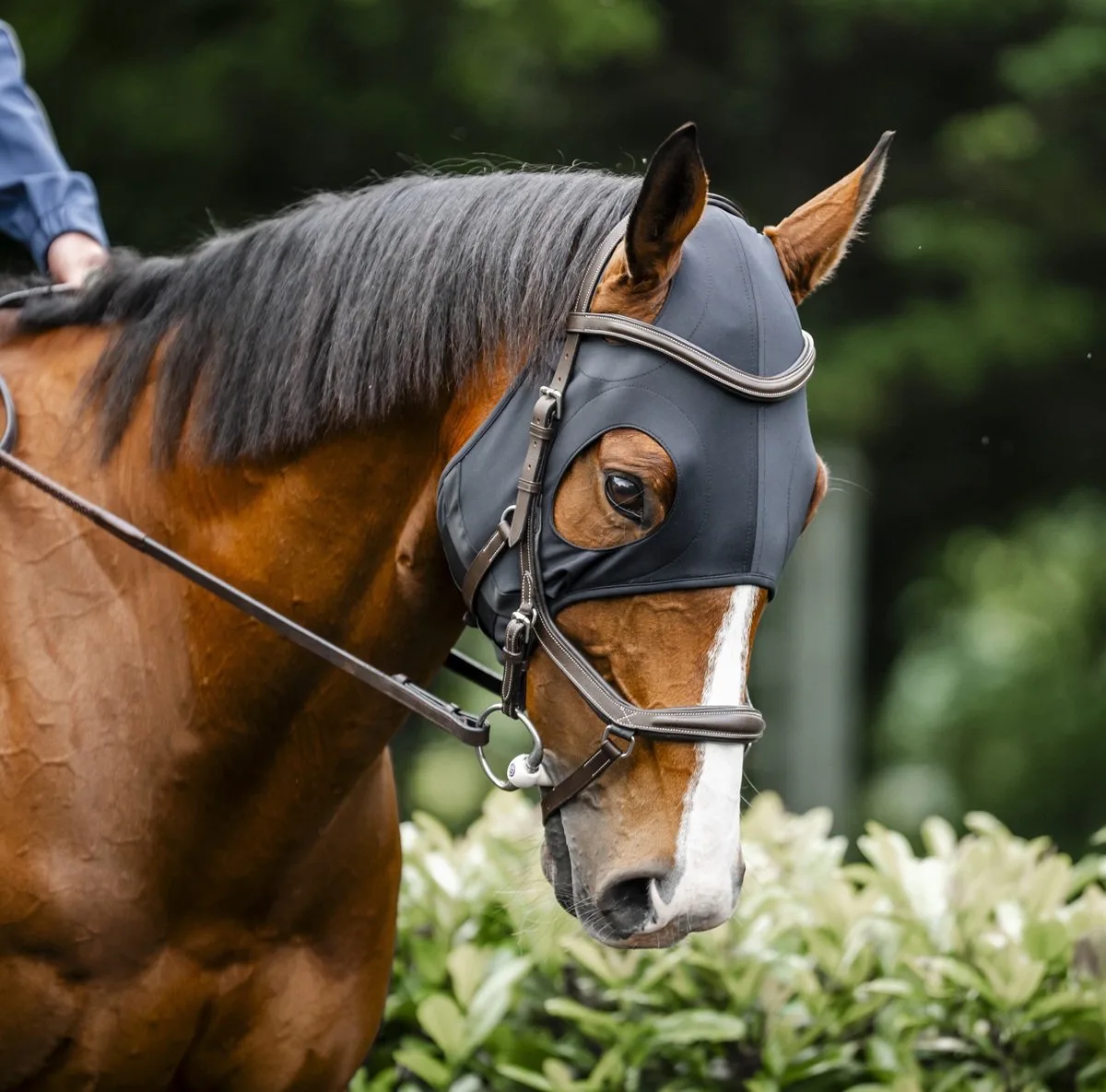 IONIC CALMING FACE MASK von Horseware in Schwarz – Produktfoto