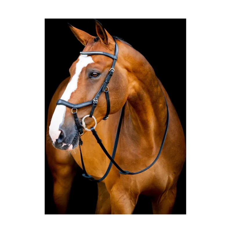 Micklem Diamante Competition Bridle VB/ COB (Vollblut) by Horseware in Regular – product photo