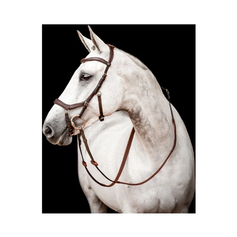 New Micklem Competition Bridle by Horseware in Regular – product photo