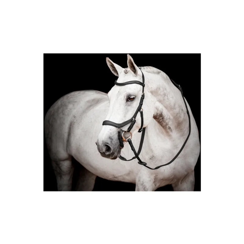 New Micklem Competition Bridle de Horseware en Regular – photo produit