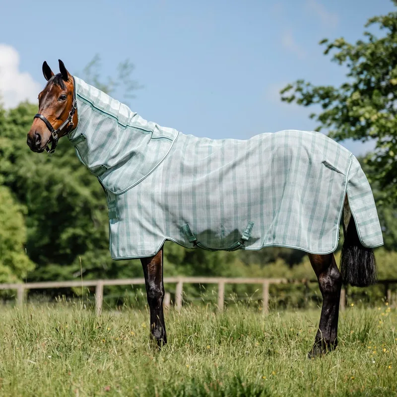 Newmarket Plus Vliegendeken - Witney Dynasty - 155 - 205 de Horseware – photo produit