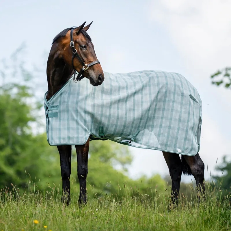 Newmarket Vliegendeken - Witney Dynasty - 145-195 by Horseware – product photo