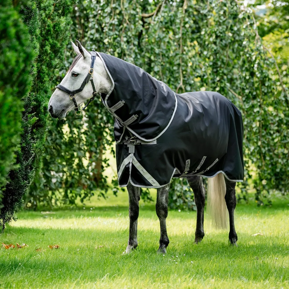 Outdoordeken Horseware Amigo Bravo 12 Plus 100gr - 125/175 by Horseware in Dark blue – product photo