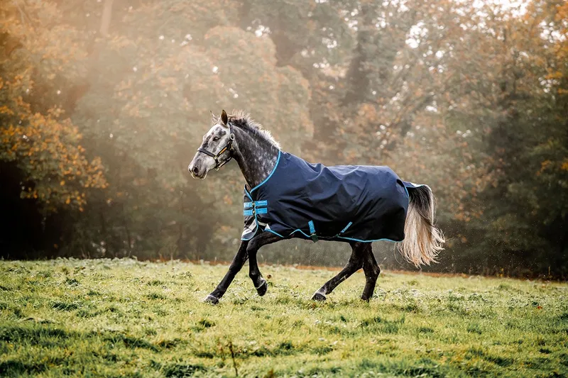 Outdoordeken Horseware Amigo Bravo 1200d 50gr - 145/198 von Horseware in Donkerblauw-turquoise – Produktfoto