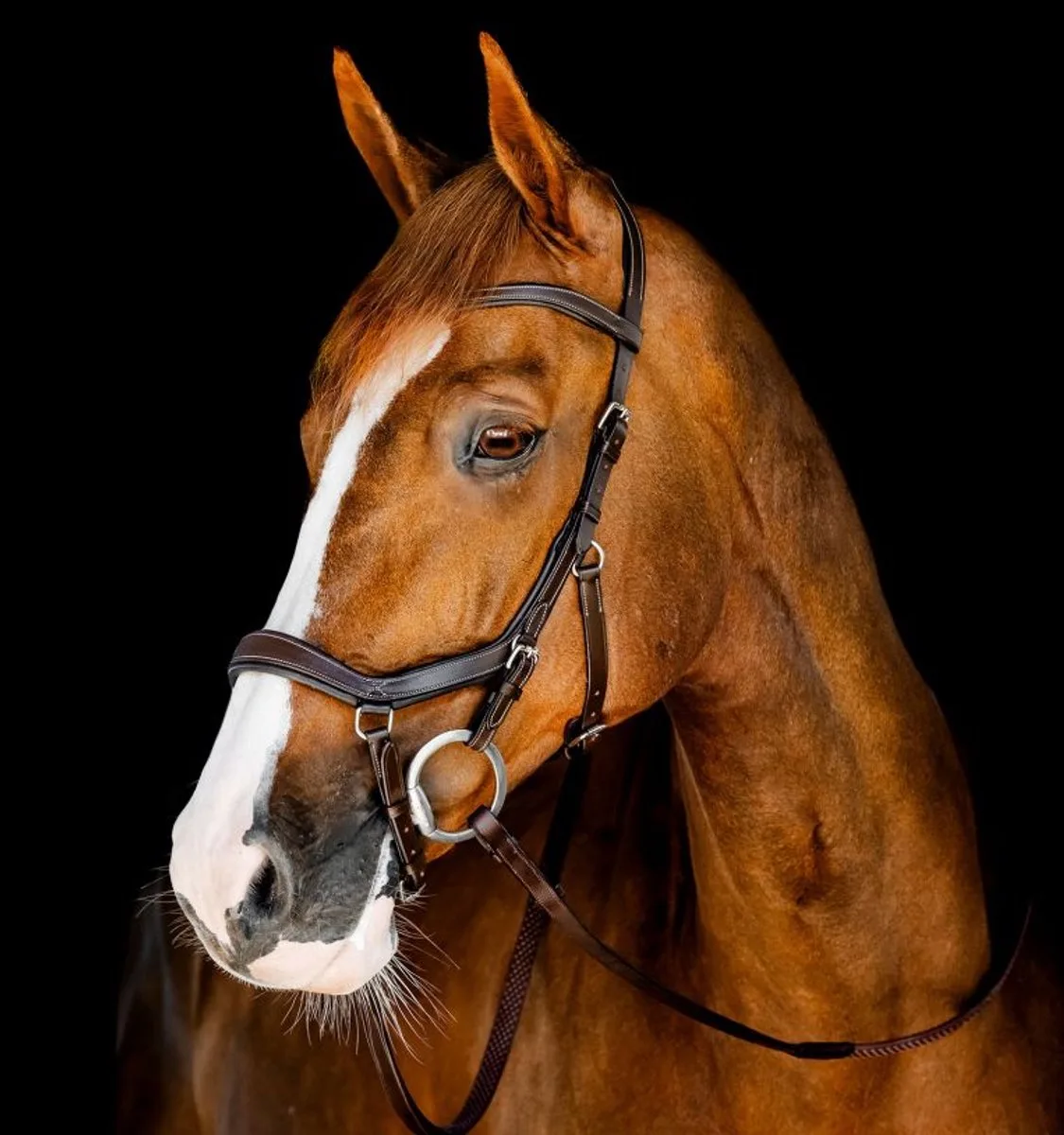 Rambo Competition Hoofdstel Full by Horseware in Havana – product photo