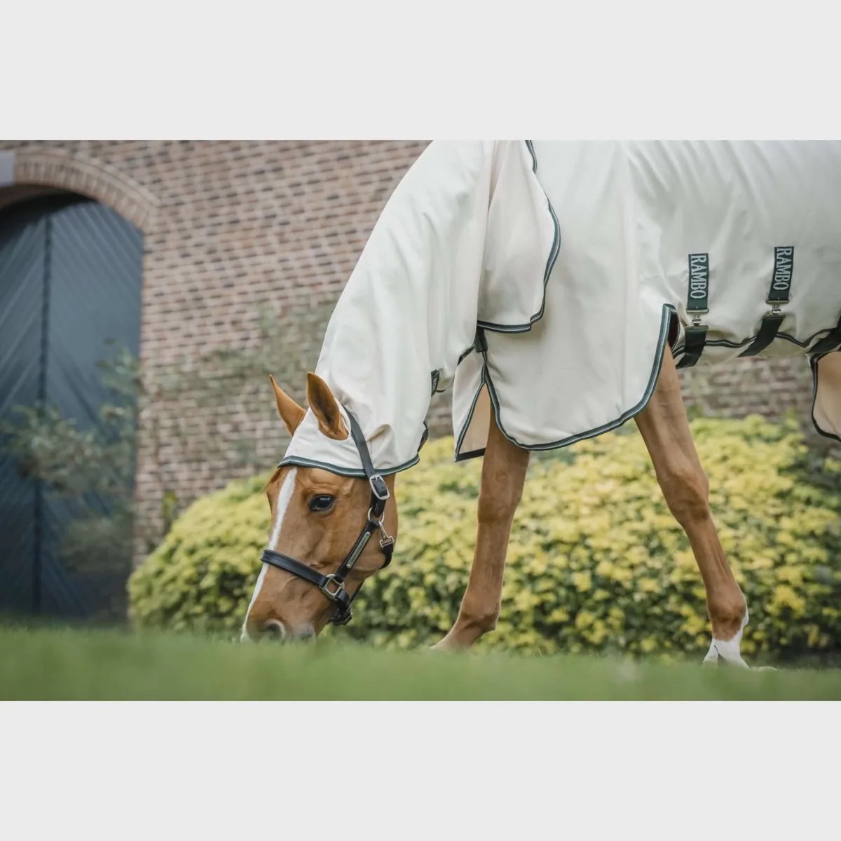 Rambo Pony Hoody Chalk 115 Chalk de Horseware en Chalk – photo produit