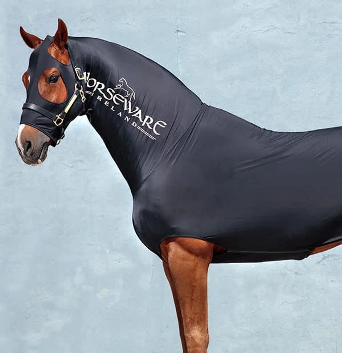 Rambo Slinky Full Body XL: dekenmaat 7'0–7'3 / 160–165 cm från Horseware i Svart – produktbild