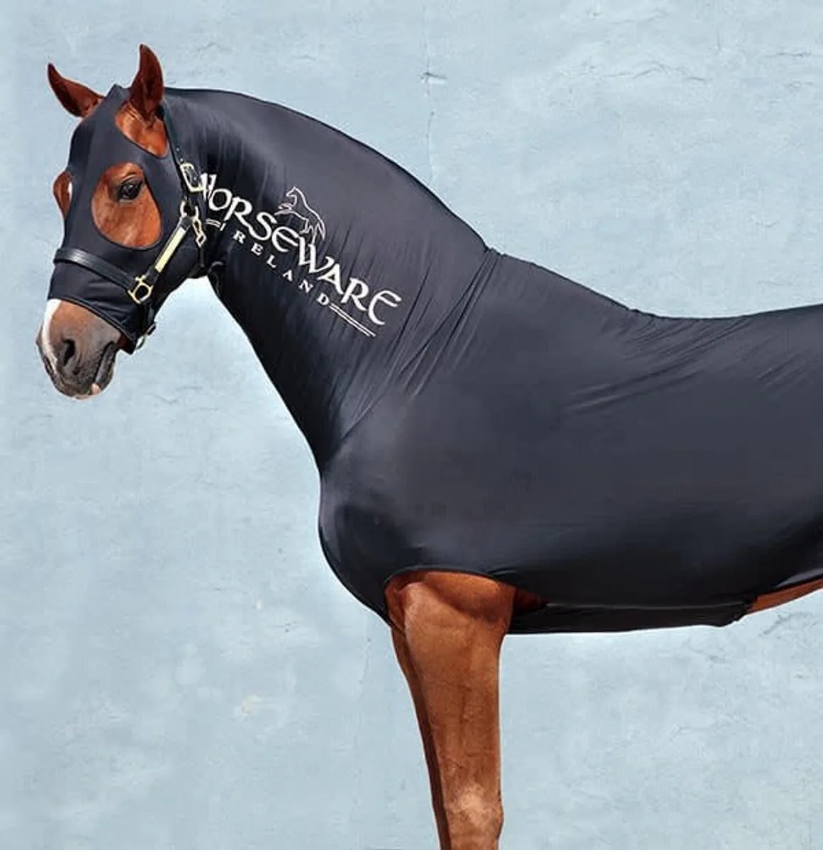 Rambo Slinky Full Body XS: dekenmaat 5'0–5'3 / 100–110 cm von Horseware in Schwarz – Produktfoto