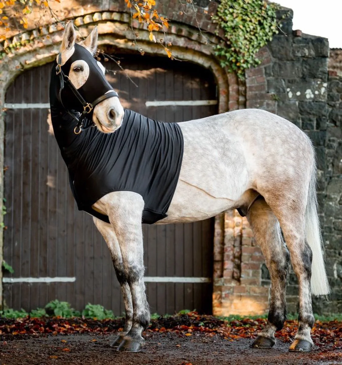 Rambo Slinky Hood M: dekenmaat 6'0–6'3 / 130–140 cm von Horseware in Schwarz – Produktfoto