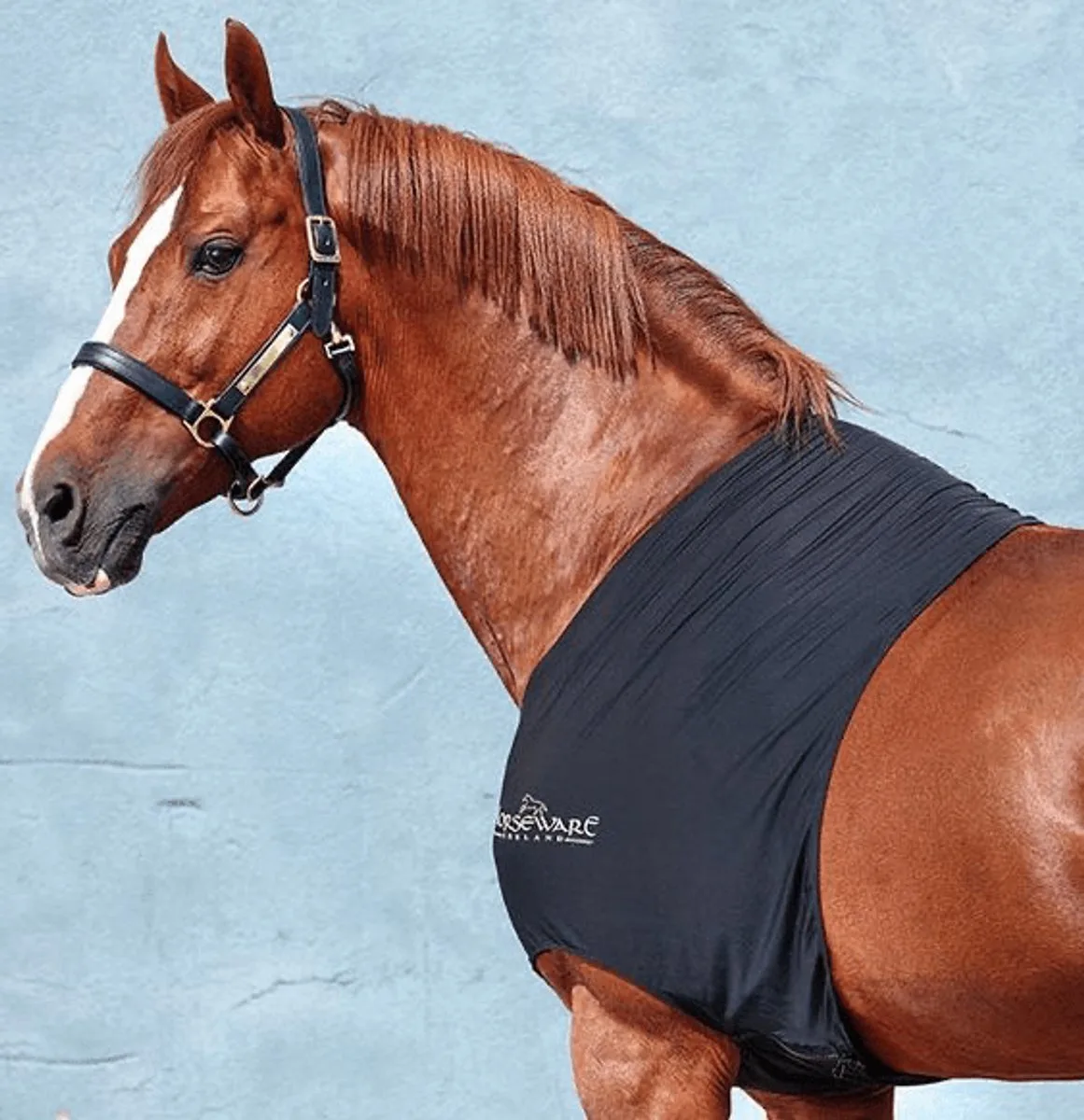 Rambo Slinky Shoulder L: dekenmaat 6'6–6'9 / 145–155 cm von Horseware in Schwarz – Produktfoto