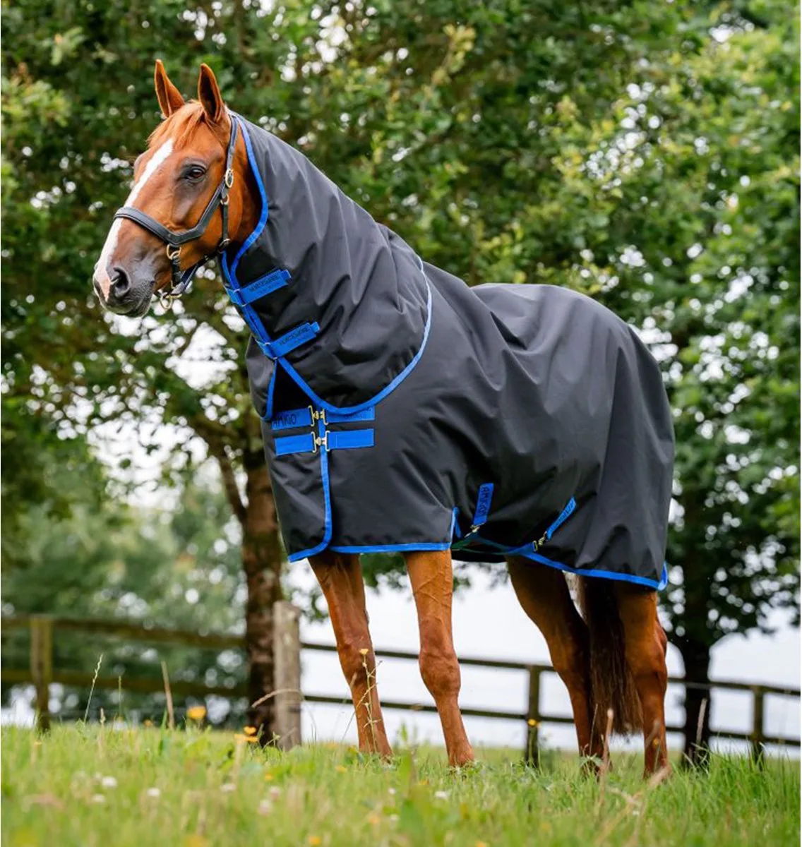 Regendeken Horseware Amigo Plus Petite Met Hals 0gr - 55/84 de Horseware en Noir – photo produit