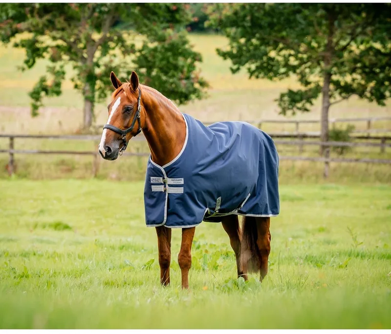 Regendeken Horseware Amigo Ripstop 0gr - 160/213 de Horseware en Bleu foncé – photo produit