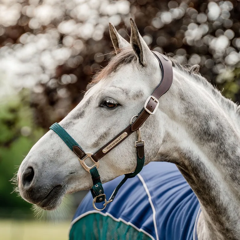 Signature Gevlochten Halster-Groen-Volledig de Horseware – photo produit